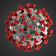 Illustration for article titled Best Methods For Staying Safe From Coronavirus